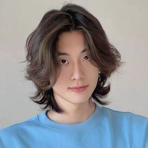 남성 테리우스 가발 긴머리 장발 스타일 샤기컷 코스프레 자연스러운 전체
