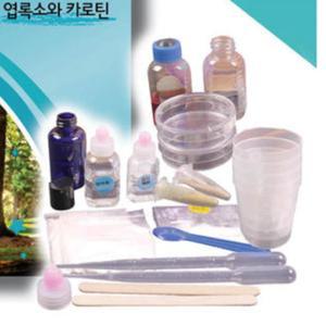 초등 5학년 식물구조와기능 학습 엽록소 카로틴 추출 실험키트 5인용