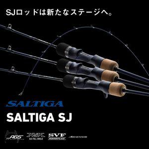 레저 낚시 다이와 슬로우 싱킹 로드 SALTIGA SJ 61B-00W