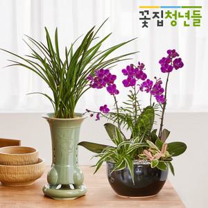 동양란 서양란 동양난 서양난 취임 승진난 승진화분