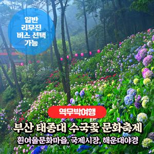 [부산] 태종대 수국꽃문화축제+흰여울문화마을+국제시장+부산야경 역무박여행(일반/리무진버스)/서울경기出