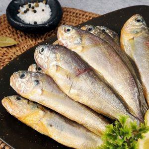 여수에서 온 참조기 1kg (20~25미)