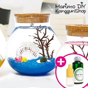 마리모밥 증정 LED어항 700ml-마리모 1.5cm 키트 세트