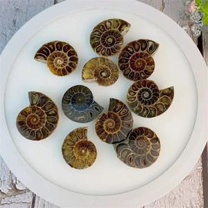 천연 크리스탈 슬라이스 광물 표본 보석 치유 석영 희귀 홈 인테리어 선물 Fengshui 암모나이트 컬렉션