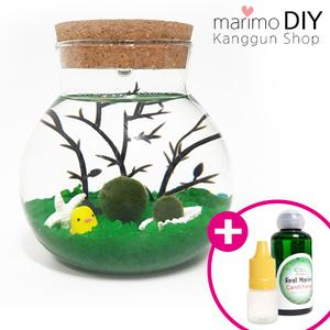 LED어항 350ml세트-마리모 1.5cm 유리자갈 그린 diy 키트