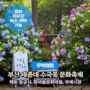 [부산] 태종대 수국꽃문화축제+용궁사+흰여울문화마을+국제시장 무박여행(일반/리무진버스) / 서울경기出