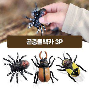 [기타]곤충 풀백카 3종 세트 / 사슴벌레 딱정벌레 거미 곤충모형 자동차