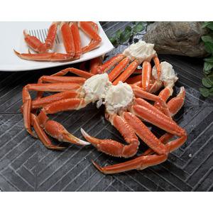 크랩투데이 프리미엄 스노우크랩(두마리반) 대게