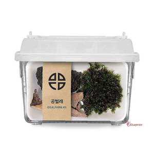 공벌레 교과 키트 곤충 관찰 자연과학 초등 땅속생물 키우기 이끼 비바리움opq176