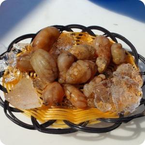 손질된 창원 마산 신선하고 감칠맛 가득한 오만둥이 1kg