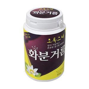 식물 비료 거름 화분 난 키우기 화단 영양제 300g 화초영양제