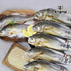 [자겸어보]영광 구운보리굴비 5미 30-32cm