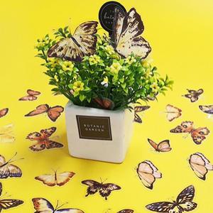 다이어리스티커 다이어리꾸미기 귀여운스티커 40P 스티커 세트 노랑나비 40P
