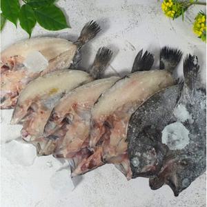 청정해역 통영산 반건조 자연산 우럭 1kg(3-4미)