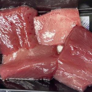 청정 동해안 참다랑어 필렛 1세트 8-10kg (500g x 1팩, 초장1, 김2)