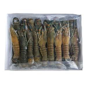 마라롱샤 마라소스포함 냉동민물 1kg25미이상