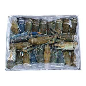 마라롱샤용 냉동민물 800g21-25미 마라소스포함