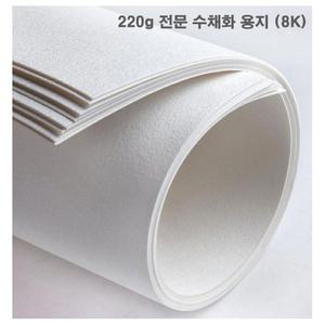 220g 전문수채화용지 10매 8절 미술용지/두꺼운종이/전문가용/수채화용/미술용/회화용/그림용/수채화용지
