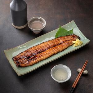 조선장어 국산 자포니카 민물장어 1kg (손질후 600g내외)생물/초벌 선택