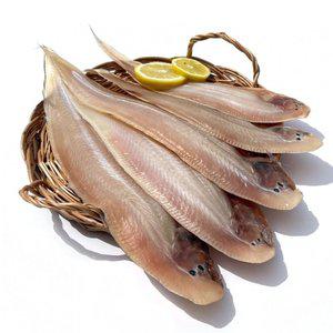 군산 반건조 박대 4미 특대