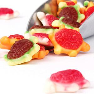 아트박스/위니비니 터틀 구미(GUMMI TURTLES FILLED)