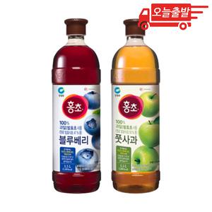오늘출발 홍초 풋사과 + 블루베리 각 1.5L 각 1개 총 2개