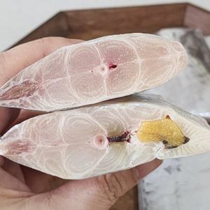 손질갈치 세네갈 오만갈치 구이 특대 토막 은갈치 500g