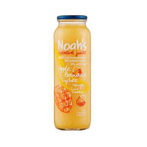 노아주스 바나나리치 망고(병) 260ml x 12ea