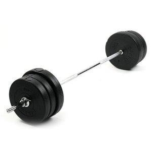바투 역기세트 20kg 컬바/1200mm 홈트 홈짐 헬스