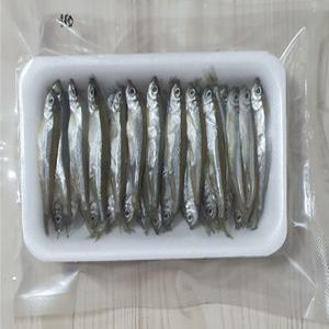 생물 빙어미끼 민물 장어낚시 바다낚시 선상 루어 찌 농어 우럭 광어 벵에돔 갈치