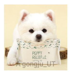 페피릴리프 강아지 손 발 엉덩이 물티슈 20매입 10팩