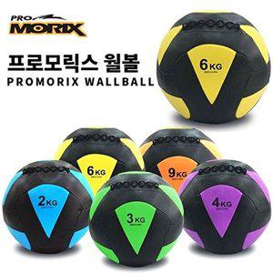 [베프몰]프로모릭스 FHVIDTBZ 월볼 6K