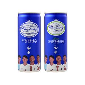 초정탄산수 플레인15개 라임15개 250ml 30캔