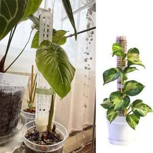 수태봉 플라스틱 식물지지대 본체 28cm