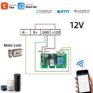 투야 스마트봇Tuya 스마트 WIFI 1CH 2CH 게이트 전기 도어 액세스 모터 잠금 스위치 DC 12V 24V 32V1 2 채