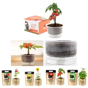 자동물공급 삼투압화분 방울토마토씨앗 흙 세트/채소/식물/재배/키트/심기/미니/화분/키우기/새싹/실내
