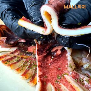[국내원양.가공]믿고 먹는 몰먹지 촉촉 통통 반건조 오징어 10미 (1.3-1.4kg) 대사이즈