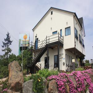 [제주 게스트하우스] 제주 바람의언덕 게스트하우스 (하귀,애월,한림,협재)
