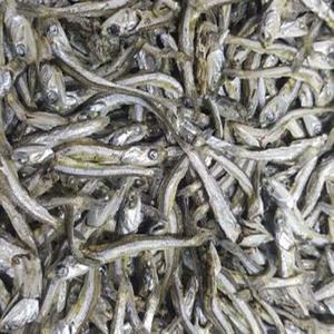 고주바멸치,고추장멸치,중멸치와다시멸치의중간사이즈,다시용,안주용,1박스,1.5kg,저렴한가격