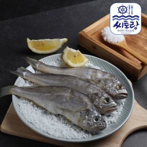 [롯데백화점]푸드진정성 영광법성포 참굴비 20미 1.2kg