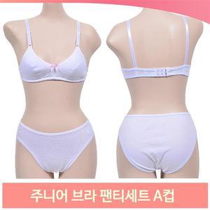 주니어 브라 팬티세트 A컵 2단계 블루 핑크 예쁜 속옷