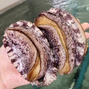 더줌 완도 활전복 9-10미 1kg 산소팩 포장