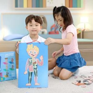 캐스B 인체자석퍼즐 신체공부 남여 장기 뼈 근육 해부모형 우리몸 학습 인체카드 퍼즐 세트