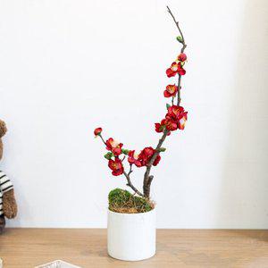 매화 나무 화분set 12x52cm (2컬러) 인테리어 봄 조화 테이블 장식 꾸미기 소품