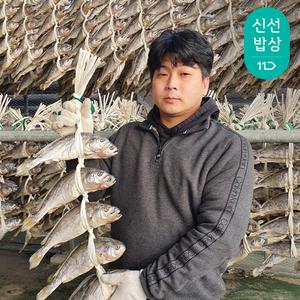 [품질보장] 영광 법성포 부세 보리굴비 대 5마리