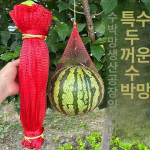 수박망 과일망 애플수박망 100개 포장 호박망