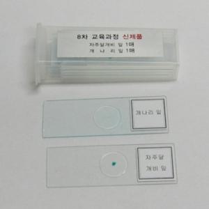 [유성과학] 짚신벌레,해캄프레파라트 학습준비물,과학