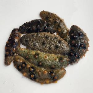 통영 자연산해삼 통영자연산해삼1kg(사이즈랜덤)