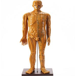 마네킹 수지침 모델 혈도 모델수지침 손모형 52CM 여자 침자리 매니