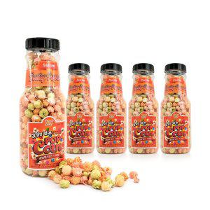 kimspp 과일향 팝콘(5개) 260g 보틀형 저금통 팝콘통